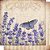 Scrapbook Dupla Face SD-626 - Litoarte - Imagem 1