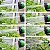 Mangueira Jardim Mágica Flexível Expansível pode chegar até 30m Verde (NOVAM - Imagem 4