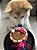 Bolo aniversário cachorro (0% gordura trans, 0% açúcar, 0% lactose) - sob encomenda 72hs - Imagem 3