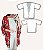 Molde Kimono (Tecido Plano - Tam. ÚNICO - Veste do P ao GG) - Imagem 1