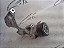 SUPORTE COMPRESSOR AR ESTICADOR CORREIA VERSA 17 18  KICKS - Imagem 2