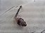 SONDA LAMBDA CABO PRETO NISSAN VERSA 17 18 19 20 1.6 KICKS - Imagem 1