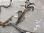 Chicote Principal C. Caixa Fusiveis Duster 2.0 4wd Man 16/7 - Imagem 5