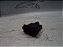 Sensor Caixa Preta Evaporadora Honda Civic 14 A 16 2.0 Aut. - Imagem 1