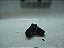 Sensor De Fase Comando Valvula Kia Sportage 2.0 12 A 15 Flex - Imagem 1