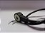 Sensor Detonaçao Ford New Fiesta 15 16 17 18 1.6 - Imagem 2