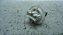 Sensor Fluxo Ar Caixa Preta Xsara Picasso 08 A 12 1.6 - Imagem 3