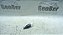 Sensor Pedal Do Freio Xsara Picasso 08 A 12 1.6 - Imagem 2