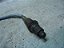 Sonda Lambda Cabo Cinza Renault Captur 18/19 1.6 - Imagem 2