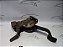 Pedal De Freio Sandero Stepway 1.6 15/16 Manual Original - Imagem 1