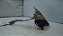 Fechadura Trava Do Capo Honda Wr-v Wrv 19/20 Original - Imagem 1