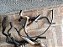 Kit Mangueiras Agua Renault Duster 2.0 4wd Manual 4x4 16/17 - Imagem 3
