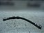 Flexivel De Freio Traseiro Ford Ka 1.0 12v 17/18 - Imagem 1