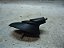 Base Da Antena Ford Ka 17/18 - Imagem 1