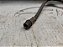 Flexivel Hidraulico Freio Dianteiro Renault Duster 4wd 16/17 - Imagem 2