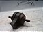 Valvula Expurgo Citroen C3 Aircross 1.5 13 A 16 Original - Imagem 2
