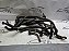 Kit Mangueiras Agua Toyota Etios 1.5 Xs 15/16 Originais - Imagem 2
