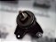 Coxim Hidraulico Kia Cerato 13/14 1.6 16v Aut. - Imagem 1