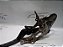 Pedal De Freio Honda Civic 2015 2.0 Manual Original - Imagem 2