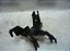 Suporte Do Moldulo Abs Renault Captur 18/19 - Imagem 1