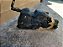 Tanque De Combustivel Citroen C4 Picasso Original Enivo Já - Imagem 3