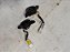 Twitter Technoise Neo 60w Rms Domo De Seda 25,4mm Universal - Imagem 4