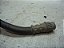 Flexivel De Freio Traseiro Citroen C3 Picasso 1.5 11 A 14 - Imagem 3