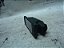 Luz De Placa Citroen Aircross 12017 - Imagem 3