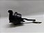 SENSOR VALVULA VACUO MOTOR HYUNDAI CRETA 1.6 2023 ORIGINAL - Imagem 5