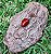 Pingente de Pedra Jaspe Vermelho - Signo de Touro - Imagem 1
