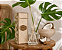 Difusor de Ambiente Côco 250ml Castelbel – Aroma Tropical e Sofisticação para sua Casa | Casa de Lila - Imagem 3