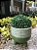Cachepô Vaso Decorativo Planta Cerâmica 15x16x16cm Verde - Imagem 3