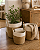 Conjunto com 3 Cestos Decorativos em Fibra Vegetal e Algodão | Casa de Lila - Imagem 1