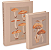 Kit Livros Caixas The Biology Of Fungi - 2 peças - Imagem 2