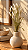 Haste de Foxtail Flôr Creme 70 cm – Casa de Lila - Imagem 1