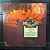 Disco Vinil LP - Rick Wakeman – Journey to the Centre of the Earth - Imagem 3
