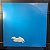 Disco Vinil LP - John Lennon & The Plastic Ono Band - Live Peace In Toronto 1969 - Imagem 2