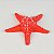 Enfeite Estrela do Mar Vermelha Pequena 14 cm - Imagem 1