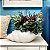 Vaso decorativo Concha Branco - Imagem 4