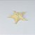 Enfeite Estrela de Mesa Bege 17 cm em Resina - Imagem 1