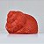 Enfeite Concha Grande Vermelha em Resina - Imagem 1