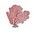 Coral Vermelho Base de Coral - Imagem 1