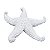 Estrela Do Mar Pontas Curvadas - Imagem 1