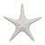 Enfeite Estrela Do Mar Com Textura - Imagem 1