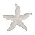 Estrela Do Mar Com Textura Resina - Imagem 1
