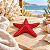Enfeite Decorativo Estrela-do-Mar Vermelha - Imagem 1