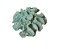 Coral em Resina Azul Claro - Imagem 3