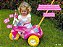 Triciclo Velotrol Infantil Fofy G Rosa Com Haste e Buzina - Imagem 2