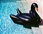 Boia Cisne Negro Gigante 198cm - Imagem 3