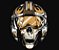 Enjoystick Star Wars - Rebels Skull Helmet - Imagem 1